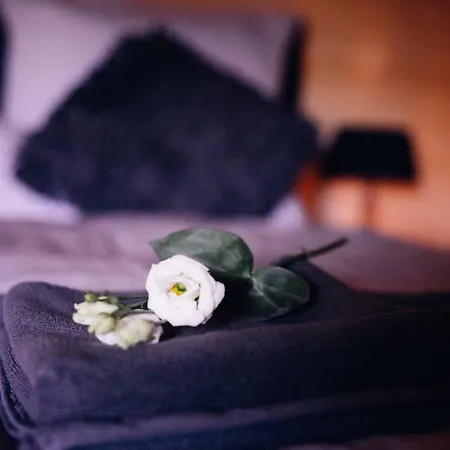 Apartmán Belle Maison *