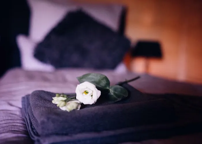 Daire Belle Maison *